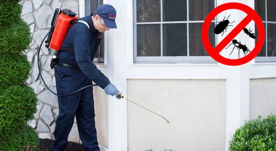 Çameli Fare İlaçlama böcek ilaçlama ve haşere kontrolü — ilaclama-tr.com